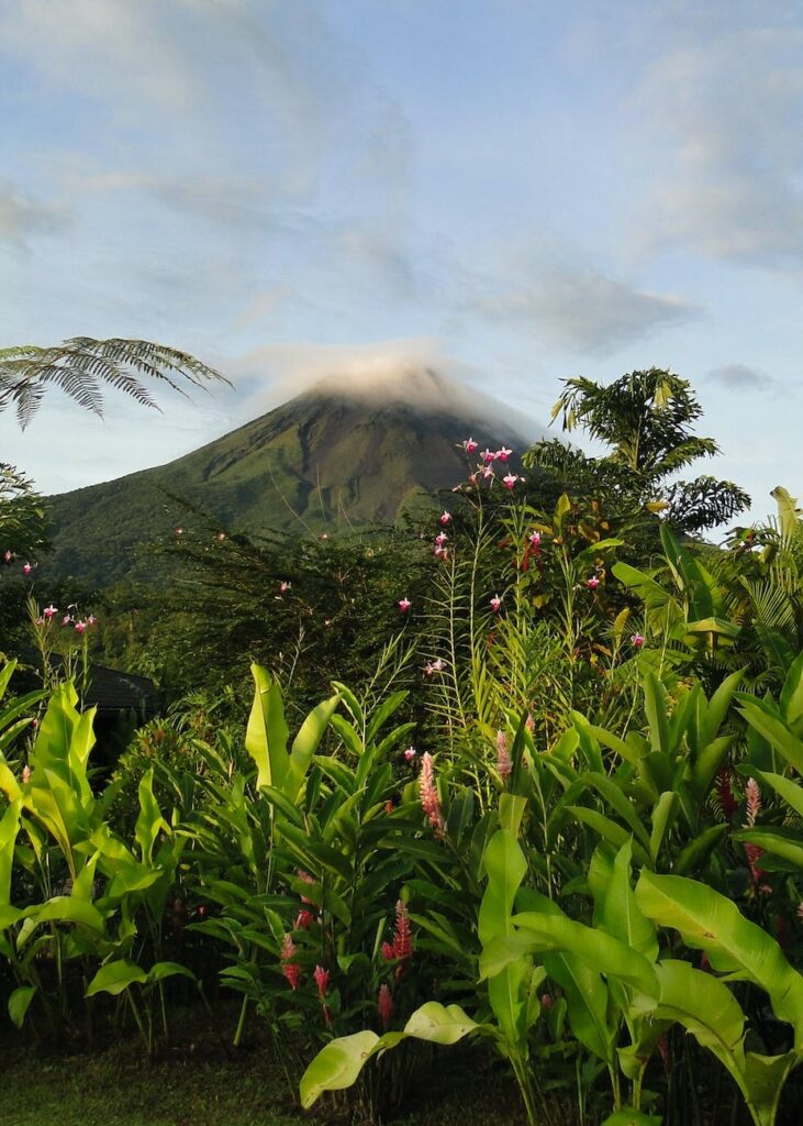 green plants near mountain under white clouds