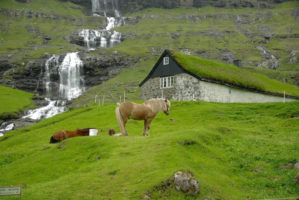 A horse and a cow standing on a hillside in the Faroe Islands, with a beautiful cascade in the background.