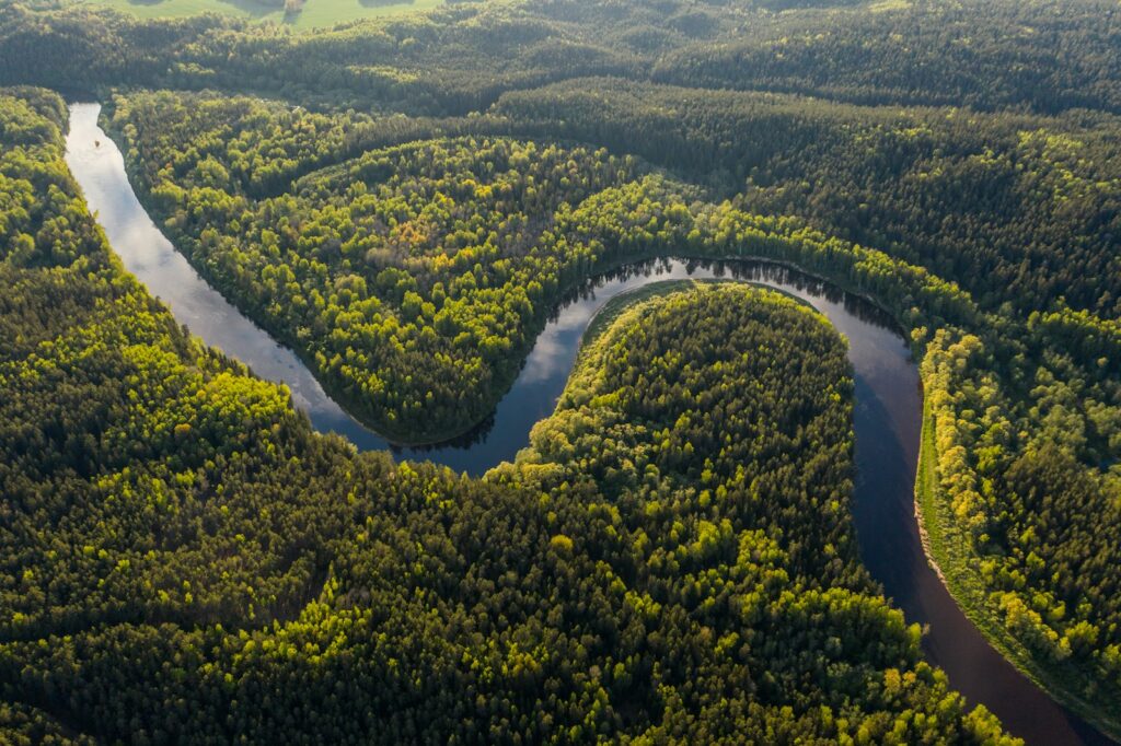 aerial view of green trees and river during daytime - Amazon Rainforest - Brazil Travel Guide