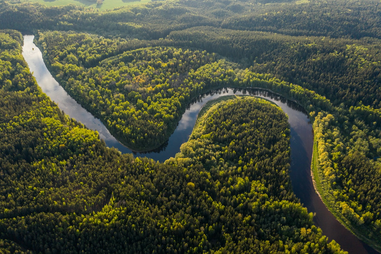 aerial view of green trees and river during daytime - Amazon Rainforest - Brazil Travel Guide