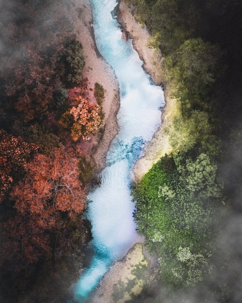 aerial view of green trees and river - Best Things to Do in Australia