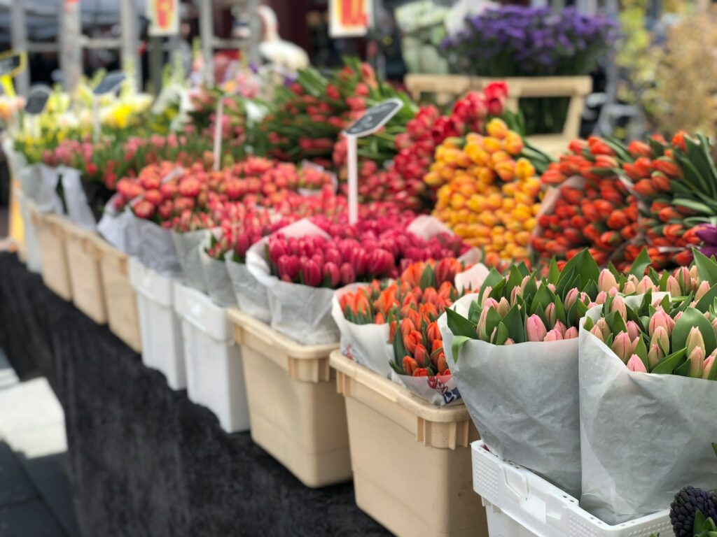 assorted flowers in container on display - Top 10 Things to Do in Amsterdam