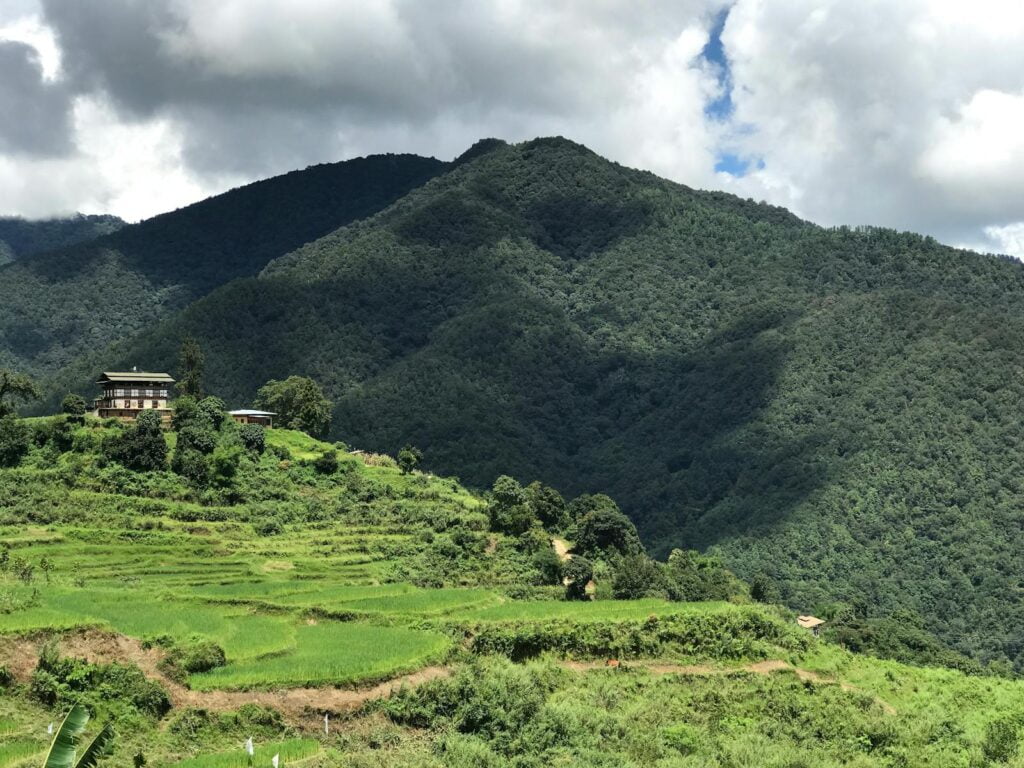 Bhutan travel guide showcasing a dense, green forest in Bhutan, highlighting the country's eco-friendly tourism efforts.