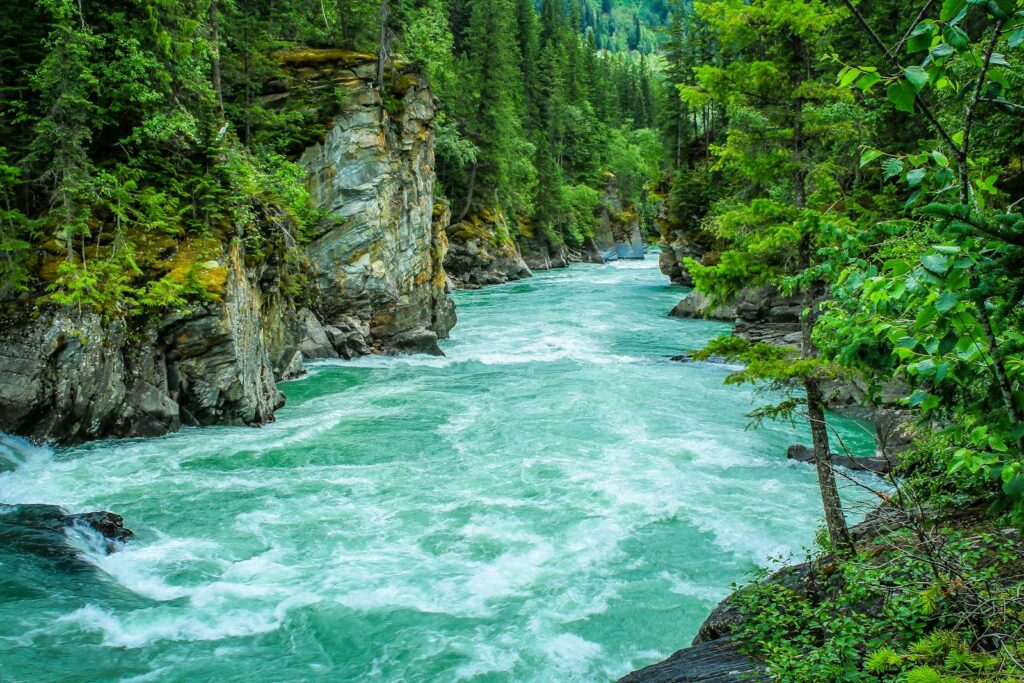 River Between Green-leafed Tree - best places to visit in December.