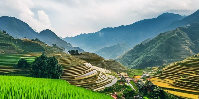 Sapa – Rice Terraces and Mountain Views